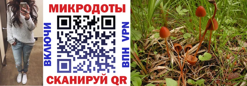 Псилоцибиновые грибы Magic Shrooms  Купить закладки  Островной 